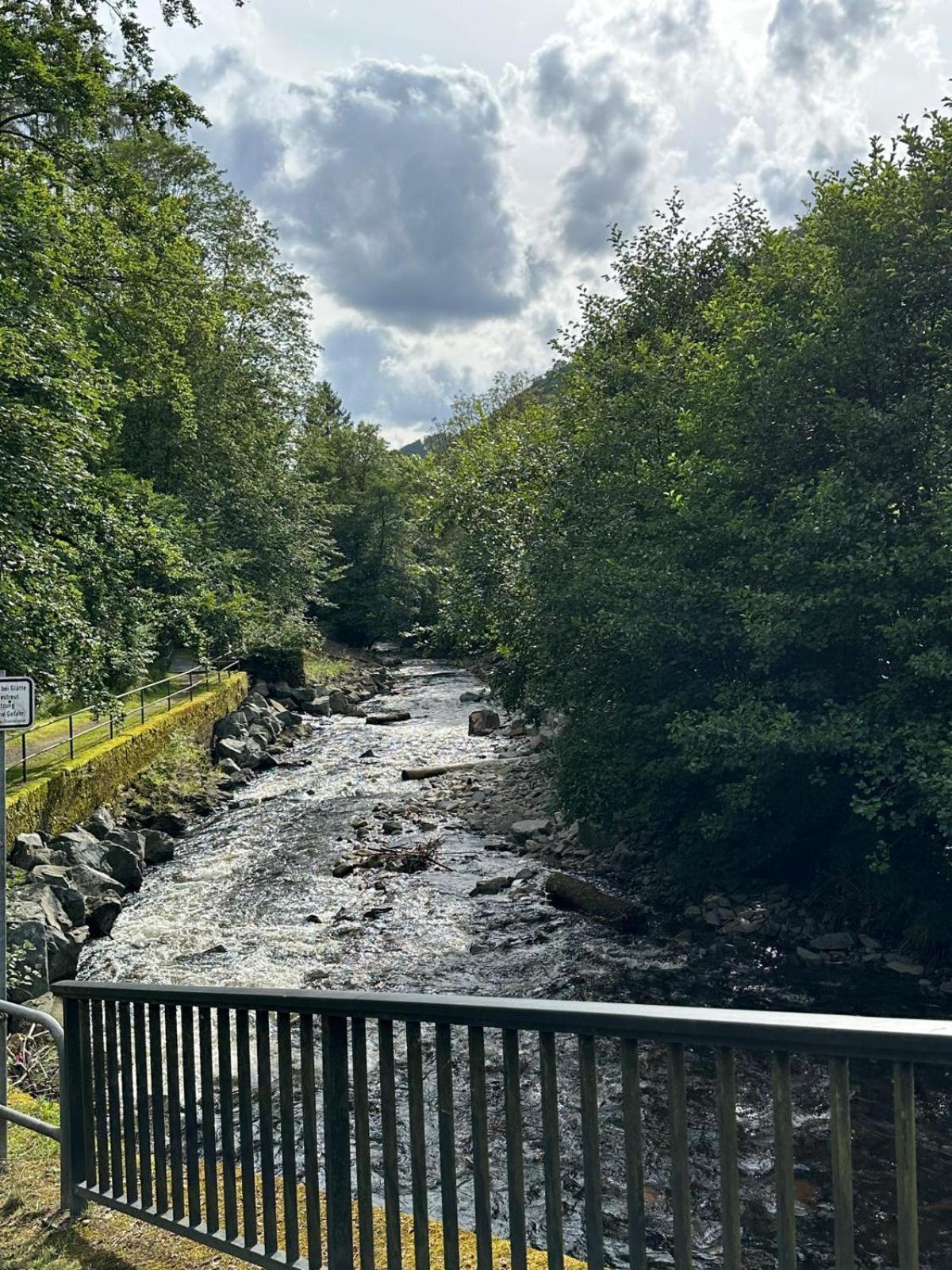 Ferienbutzen Harz Heikenberg, Bad Lauterberg Mit Schwimmbad Und Sauna Bagian luar foto