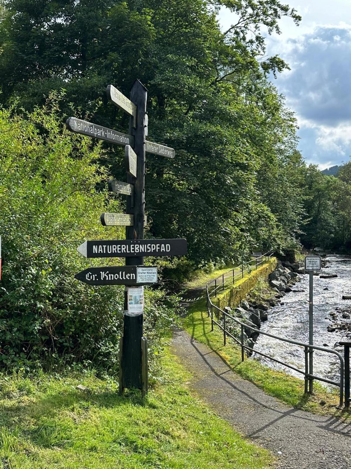Ferienbutzen Harz Heikenberg, Bad Lauterberg Mit Schwimmbad Und Sauna Bagian luar foto